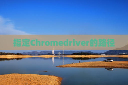 指定Chromedriver的路径